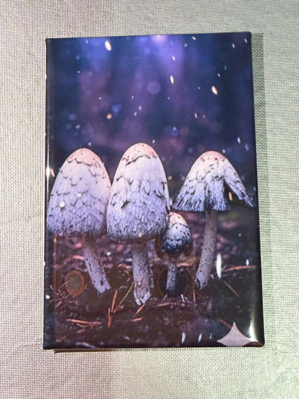 Trippy Mushroom magnets sold individually or purchase them all