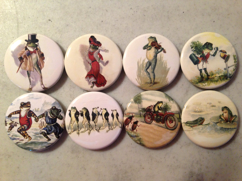 Vintage Frog Magnet Set: Reptile Toad Picture Buttons
