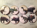 Dinosaur Buttons: Pinbacks, Magnets, Flatbacks - Set of 8