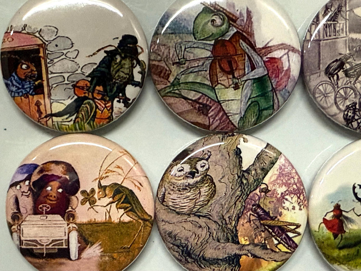 8 Grasshopper fridge magnets SET 1 with vintage pictures of grasshoppers 1.5 inch