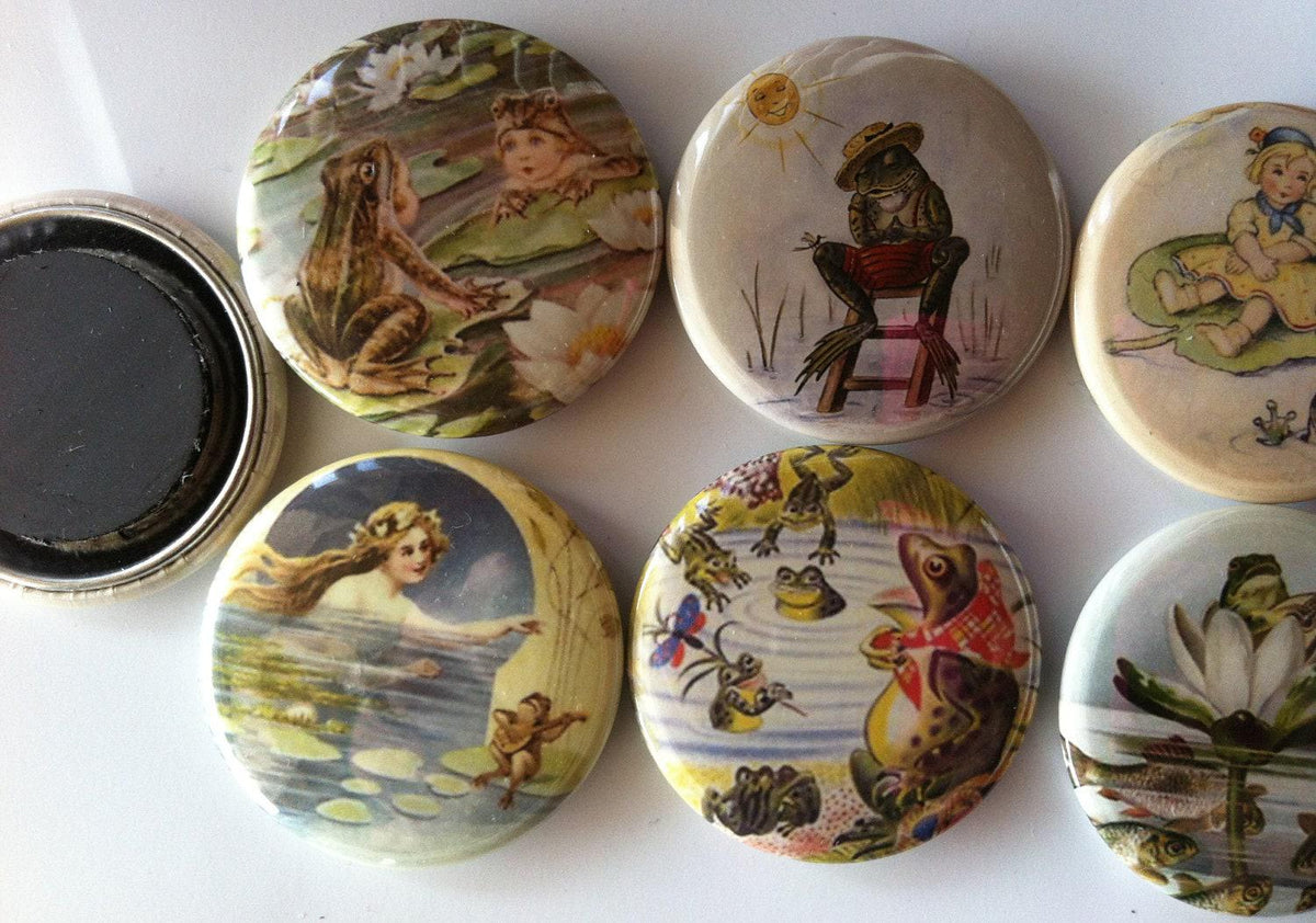8 frog fridge magnets, toads, frogs, reptiles, set 3 with vintage pictures of frogs