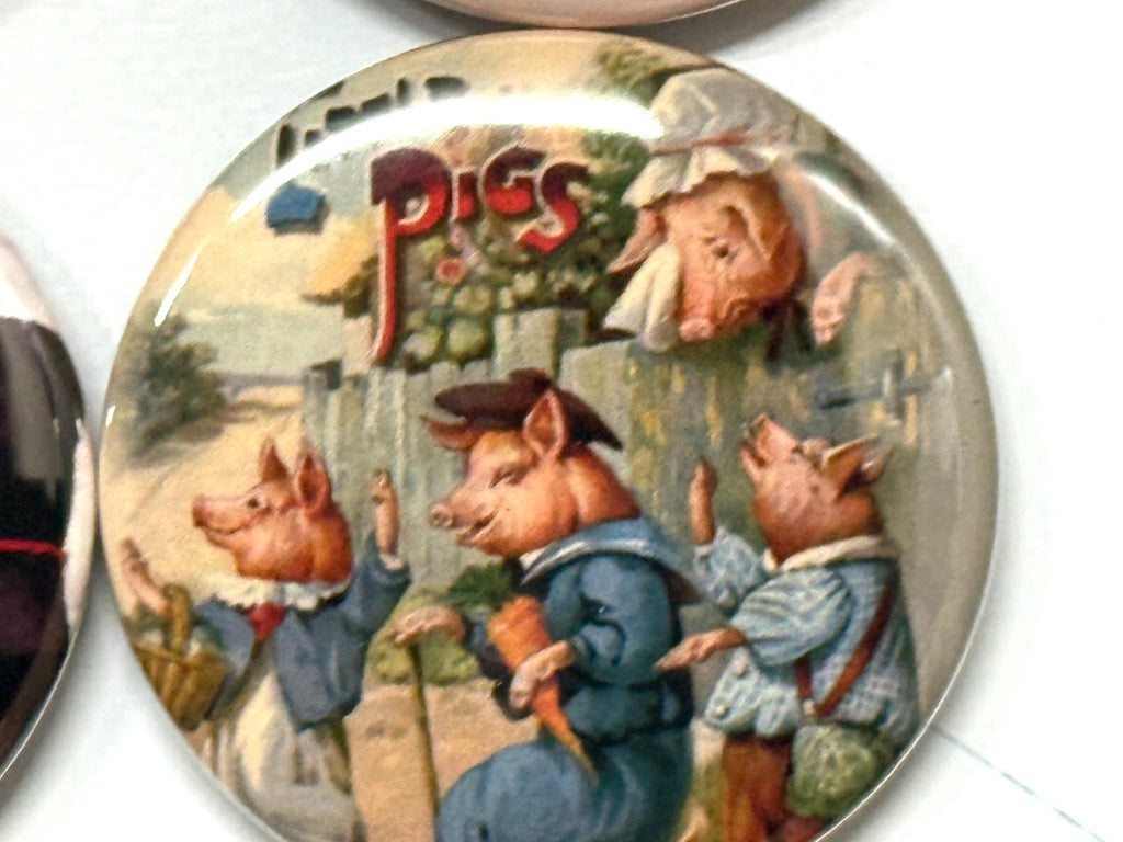 Pig Magnets or Pinbacks - Set of 6 - Choose Size & Style