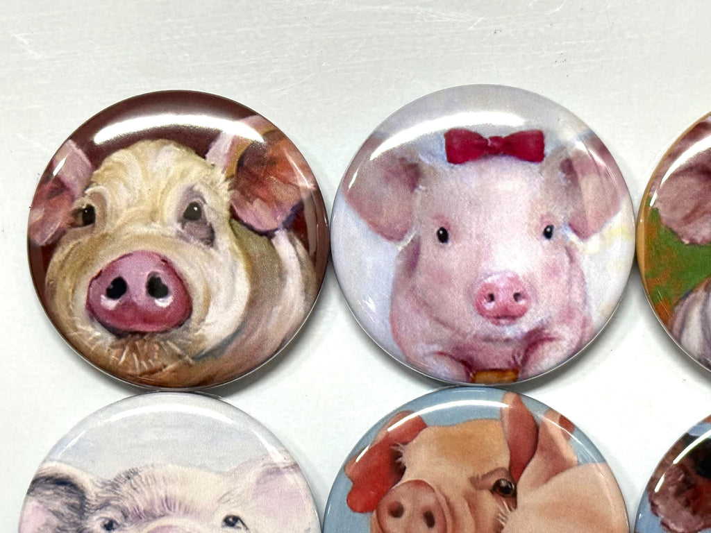 Pig Buttons: Farm Animal Pinbacks, Magnets, Keychains