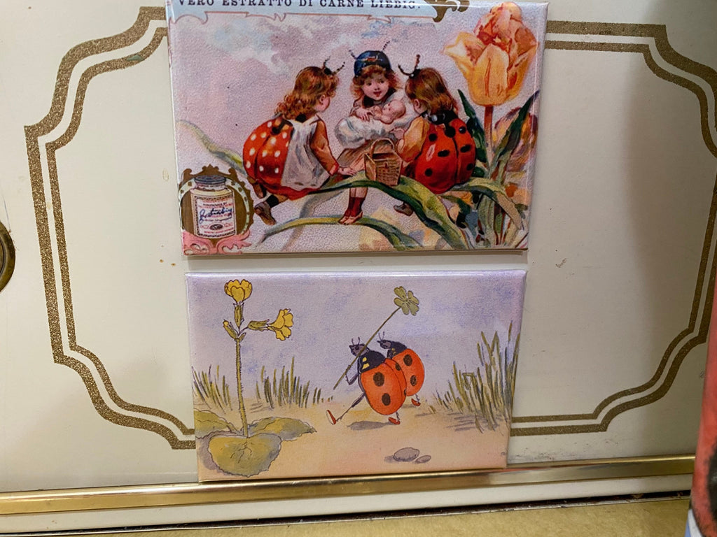 Vintage lady bug magnets 2x3 inch