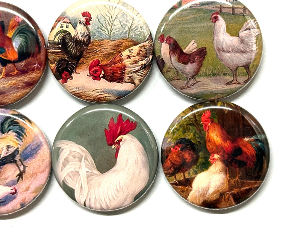 Vintage Rooster & Chickens Magnets or Pinbacks - Set of 8