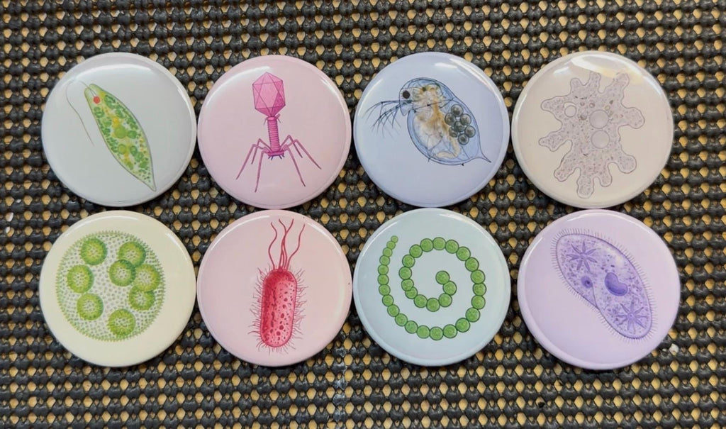 Micro Wonders again?: Colorful Microorganism Button or Magnet Set (Set of 8)