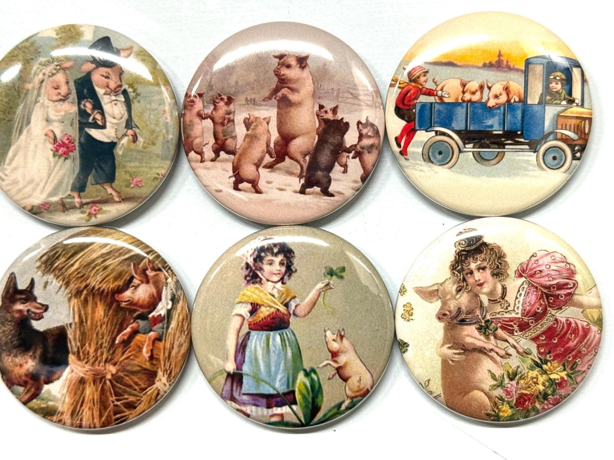 6 Pig Buttons: Vintage Style Pinbacks, Magnets, Keychains