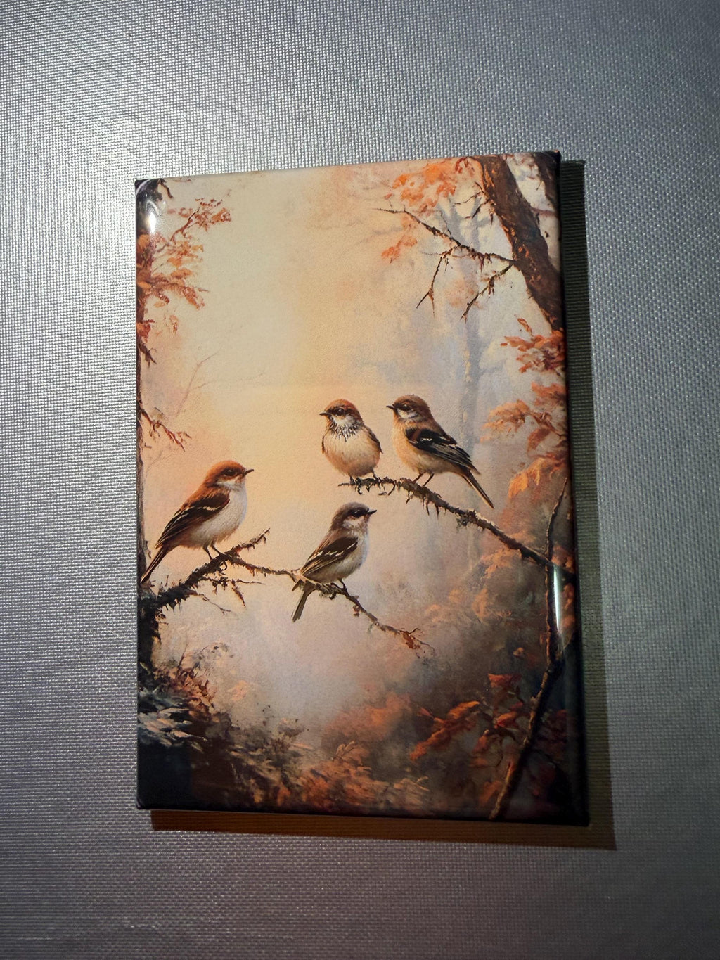 Naturalist, birding, bird watcher magnets sold individually or purchase them all