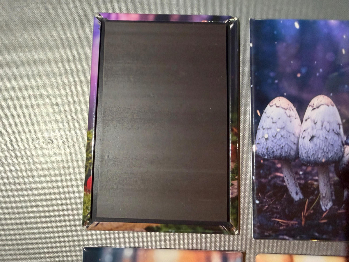 Trippy Mushroom magnets sold individually or purchase them all