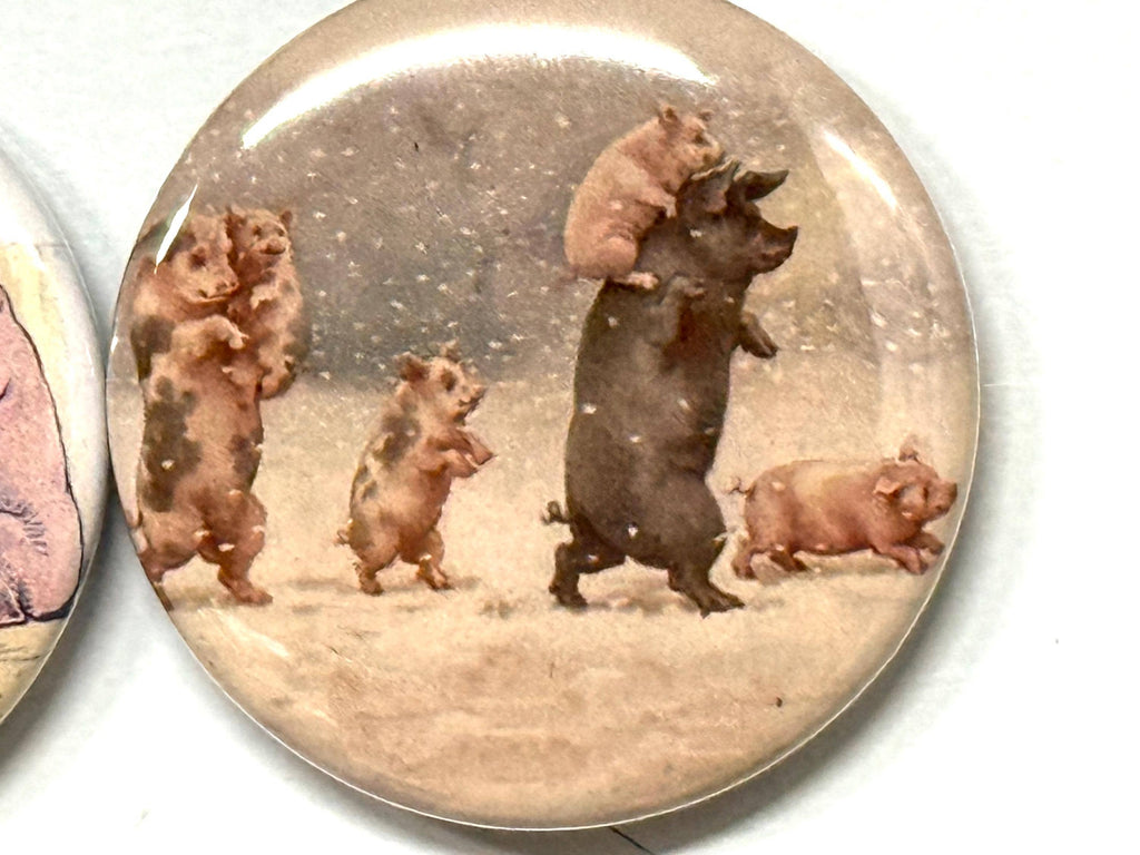 6 Pig Fridge magnets or pinbacks and more.  You choose the size and style. S1