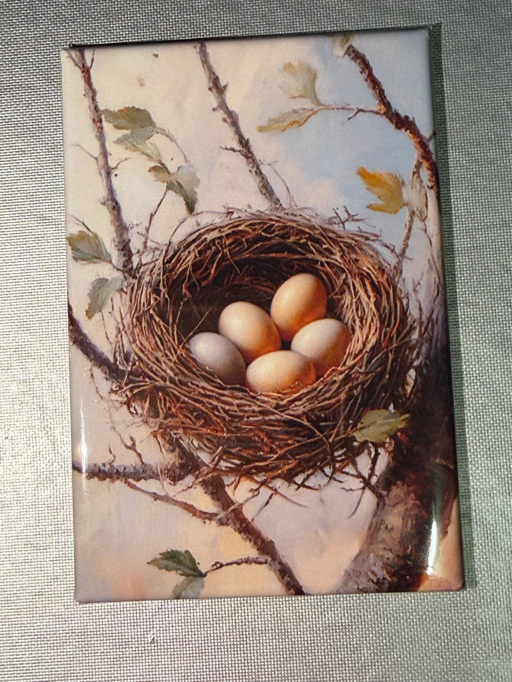 Naturalist, birding, bird watcher magnets sold individually or purchase them all
