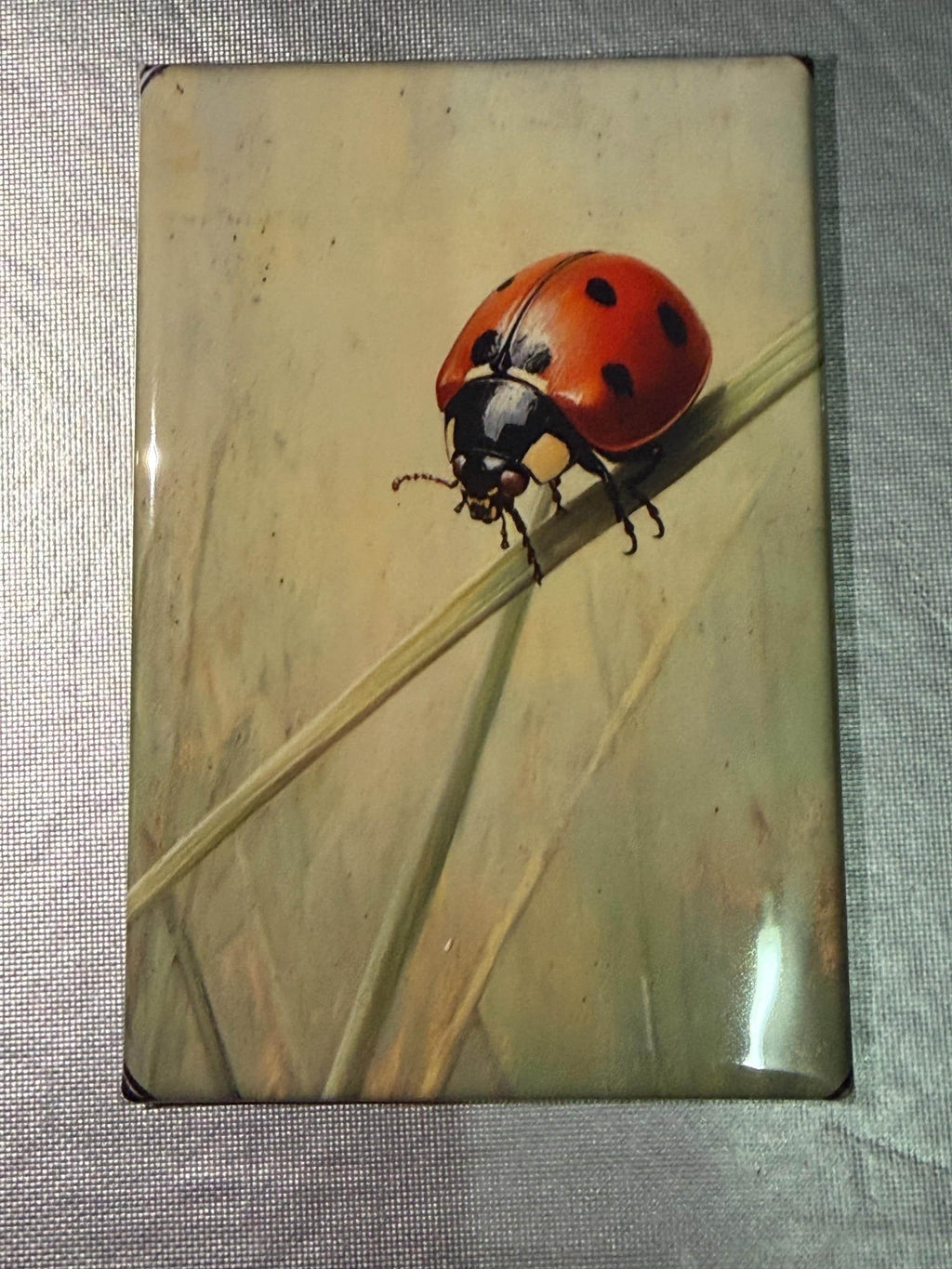 Naturalist, bug, insect, nature lover magnets sold individually or purchase them all