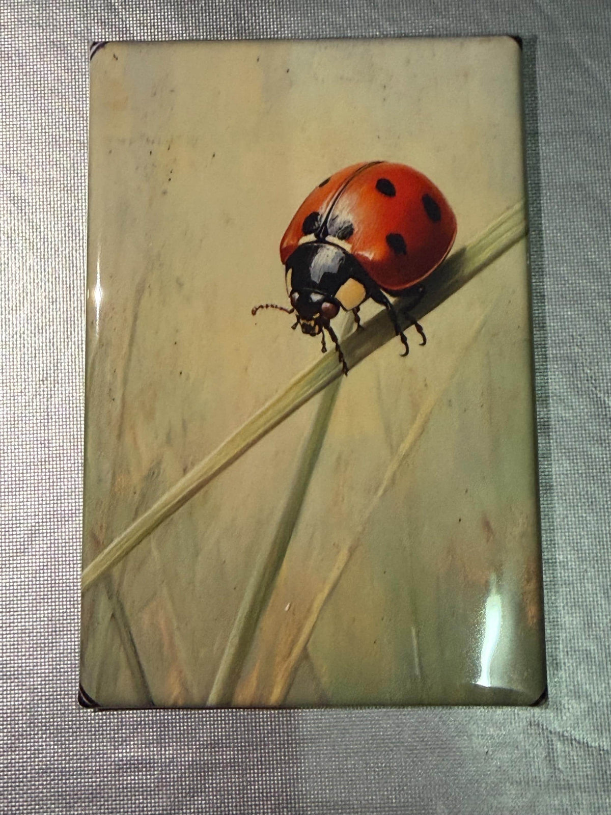Naturalist, bug, insect, nature lover magnets sold individually or purchase them all