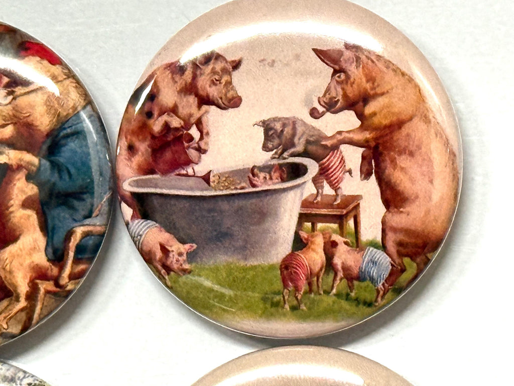 6 Pig Fridge magnets or pinbacks and more.  You choose the size and style. S1