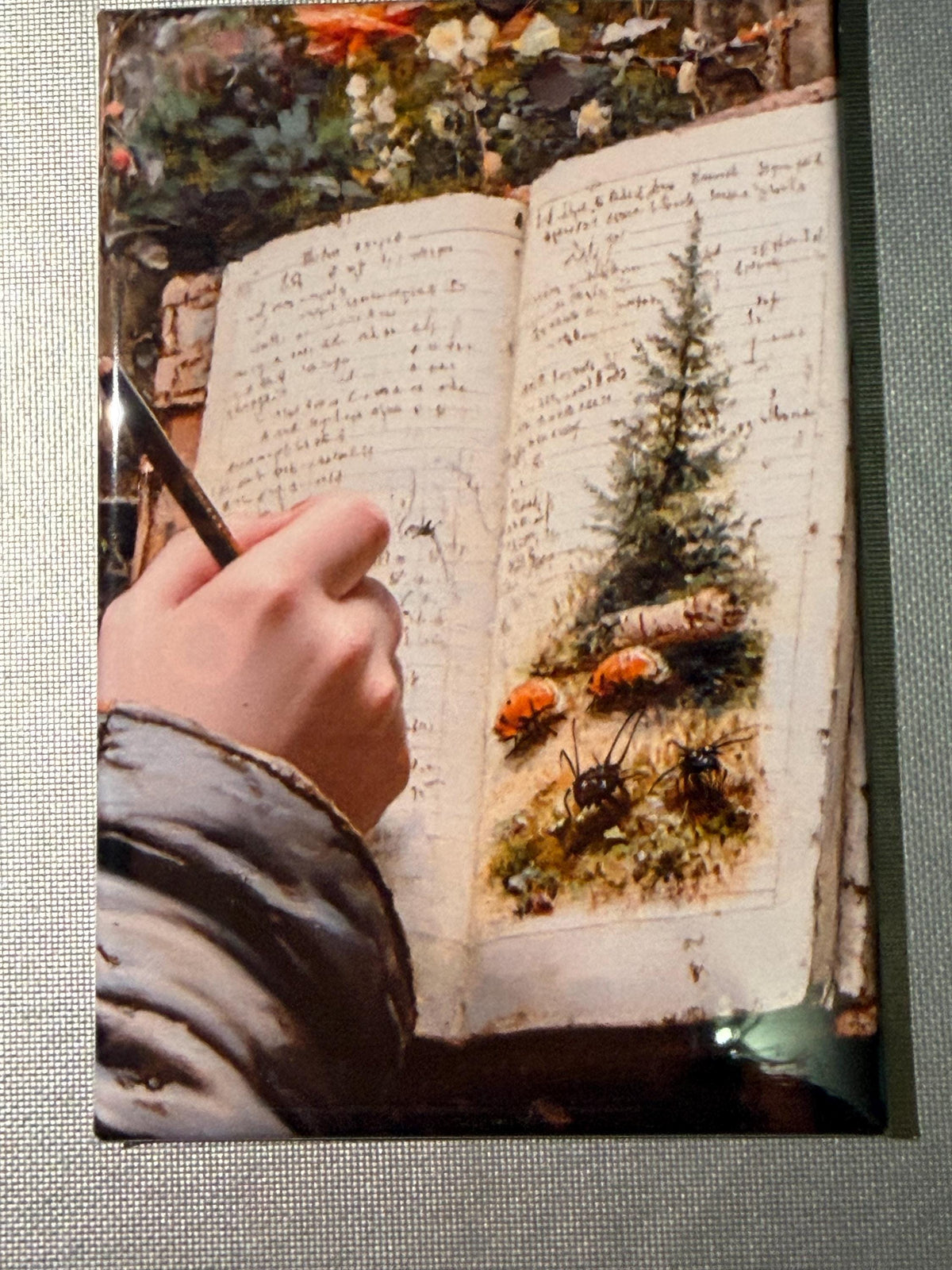 Naturalist, bug, insect, nature lover magnets sold individually or purchase them all