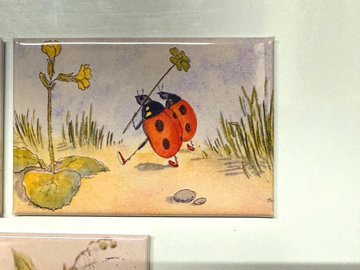 Vintage lady bug magnets 2x3 inch