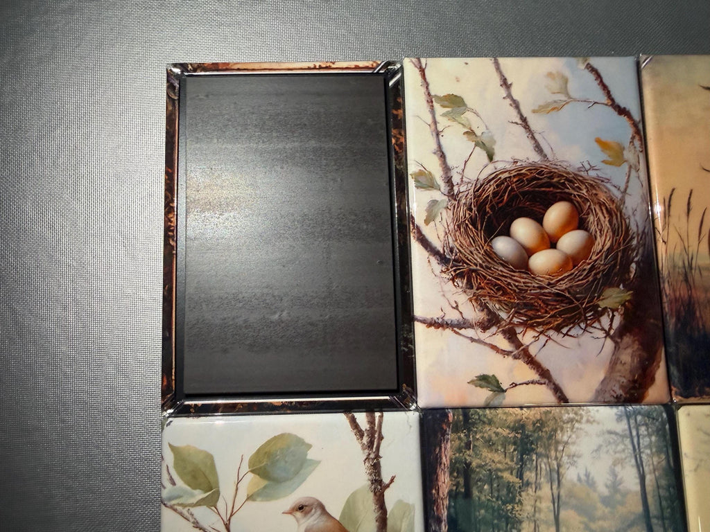 Naturalist, birding, bird watcher magnets sold individually or purchase them all