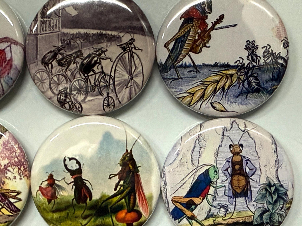 8 Grasshopper fridge magnets SET 1 with vintage pictures of grasshoppers 1.5 inch