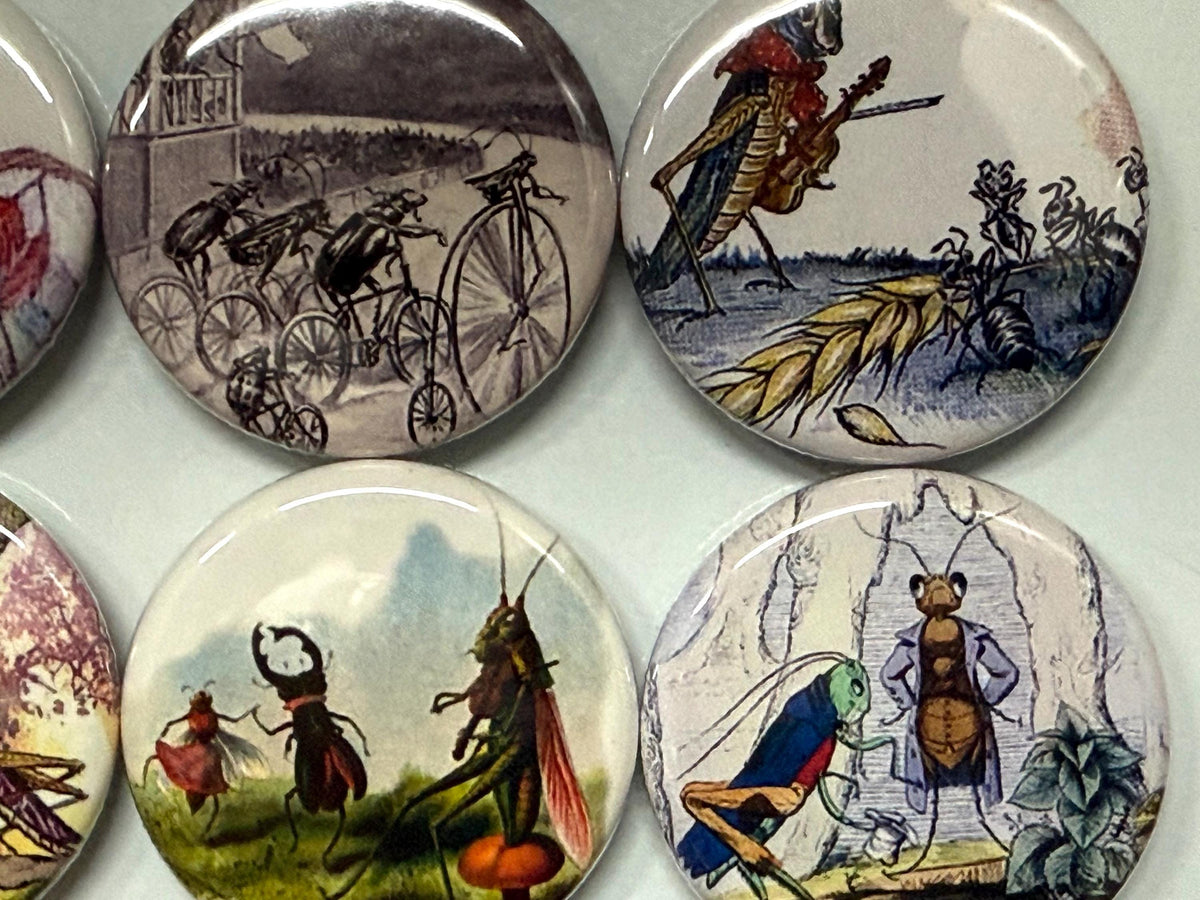 8 Grasshopper fridge magnets SET 1 with vintage pictures of grasshoppers 1.5 inch