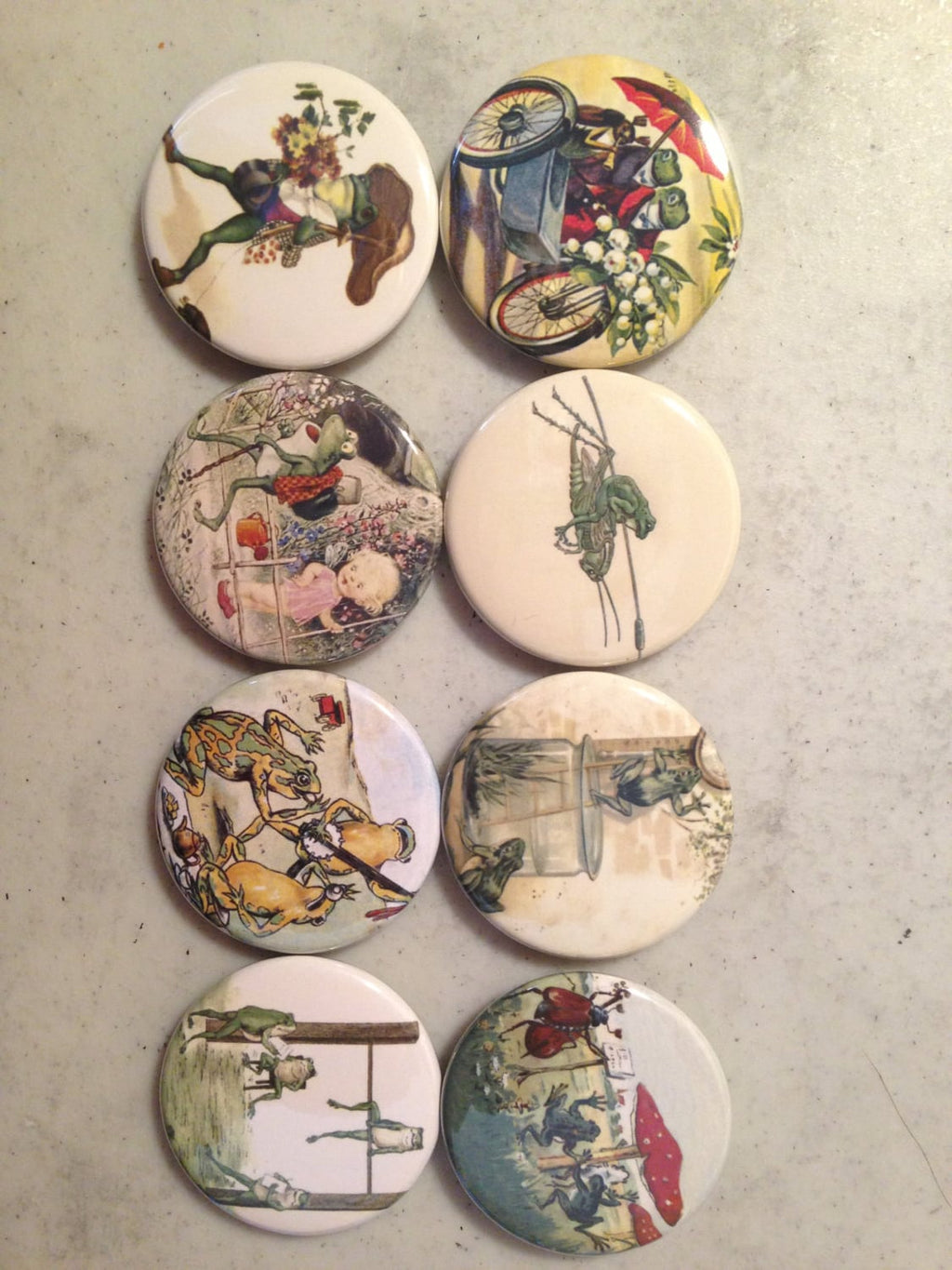 Frog Fridge Magnets - Vintage Toad Pictures - Set of 8