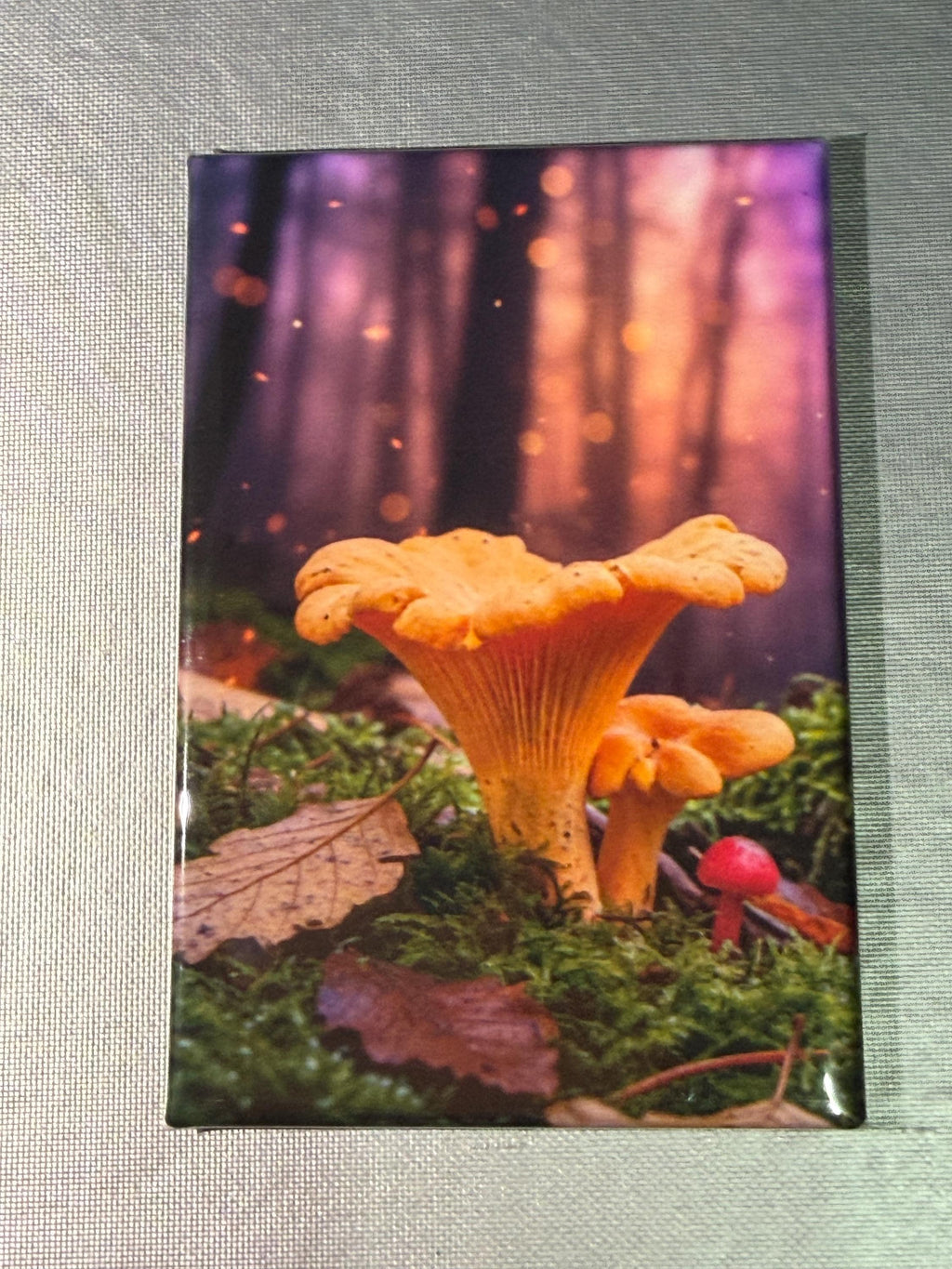 Trippy Mushroom magnets sold individually or purchase them all