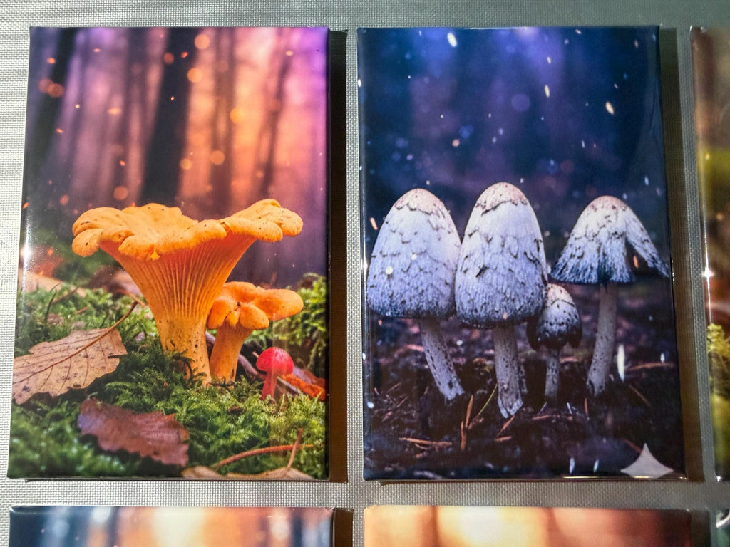Trippy Mushroom magnets sold individually or purchase them all