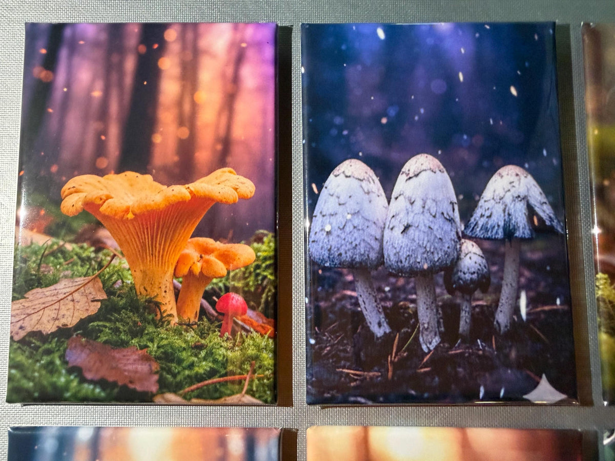 Trippy Mushroom magnets sold individually or purchase them all