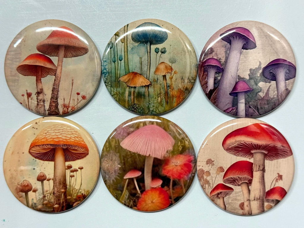 6 Mystical mushrooms pinbacks, flatbacks or magnets Set 1.  Choose your size/style.