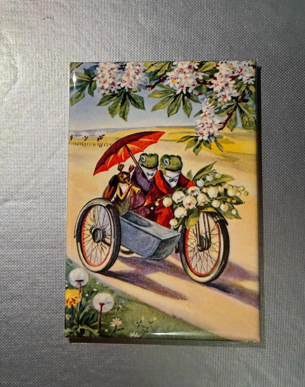 Beautiful Frog Magnets or Pinback Buttons, 2x3 inch