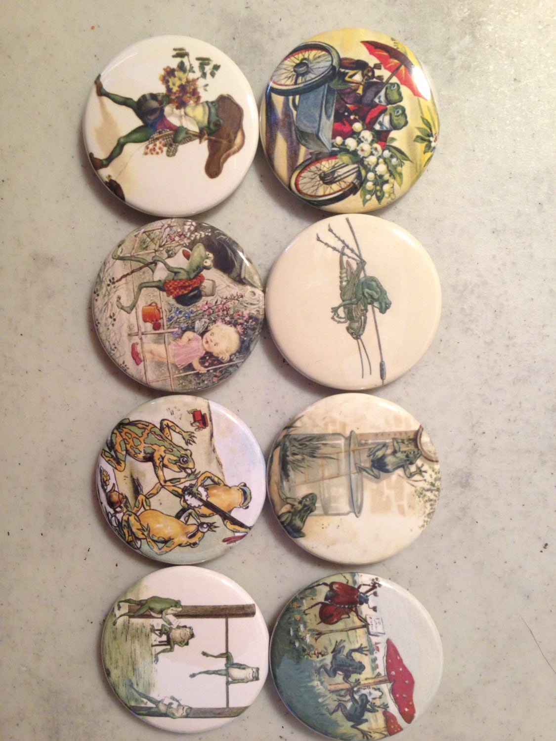Frog Fridge Magnets - Vintage Toad Pictures - Set of 8
