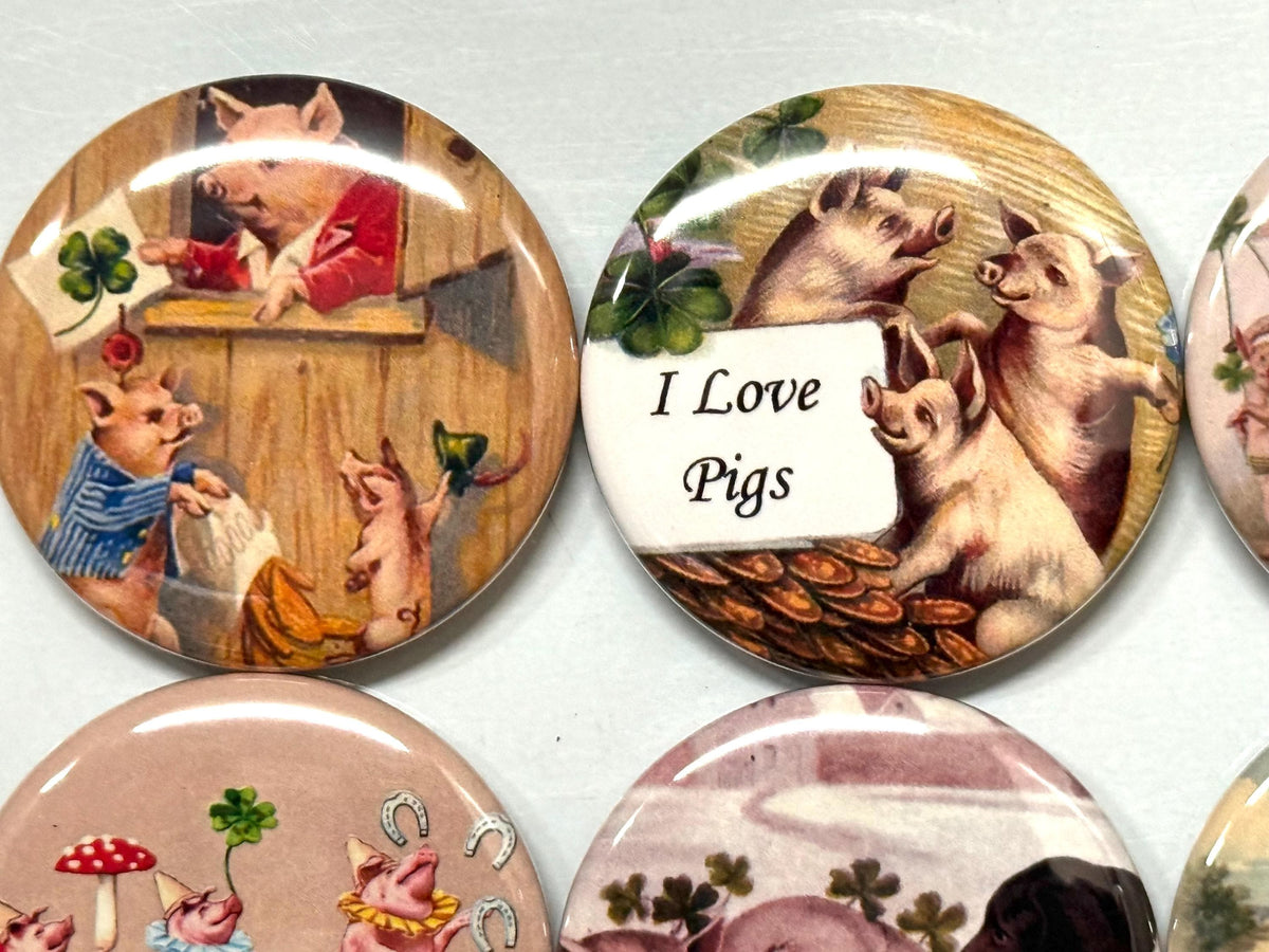 Pig Magnets or Pinbacks - Set of 6 - Choose Size & Style