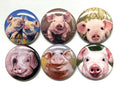 Pig Buttons: Choose Magnet, Pinback, Keychain & More