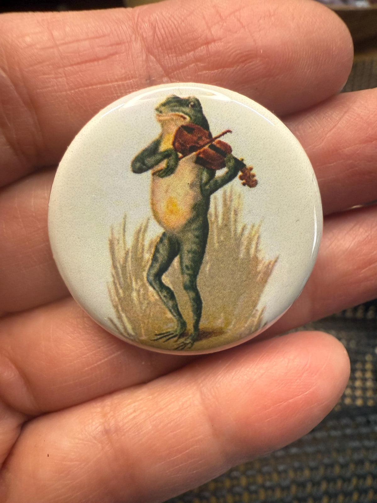 Vintage Frog Magnet Set: Reptile Toad Picture Buttons