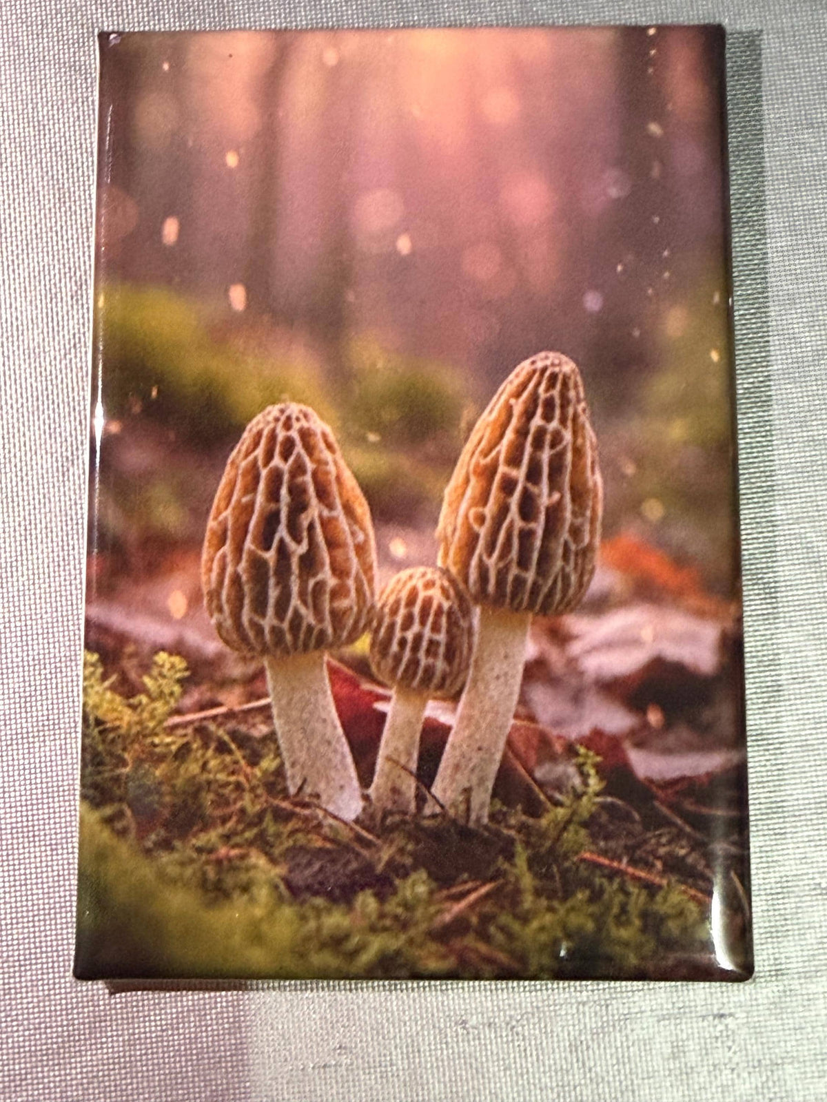Trippy Mushroom magnets sold individually or purchase them all
