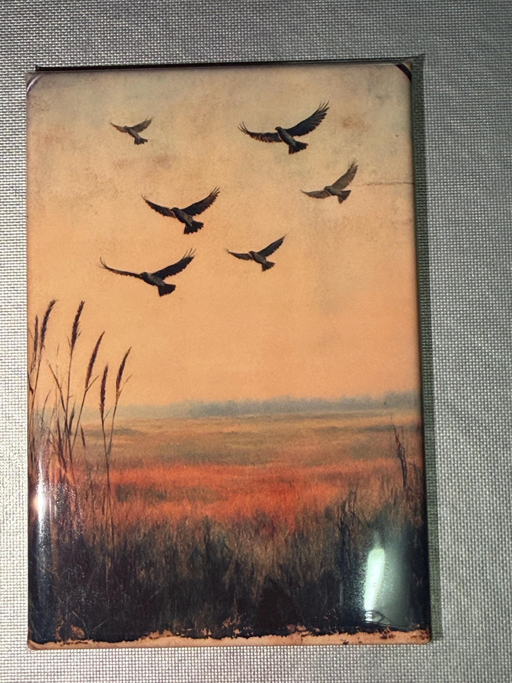 Naturalist, birding, bird watcher magnets sold individually or purchase them all