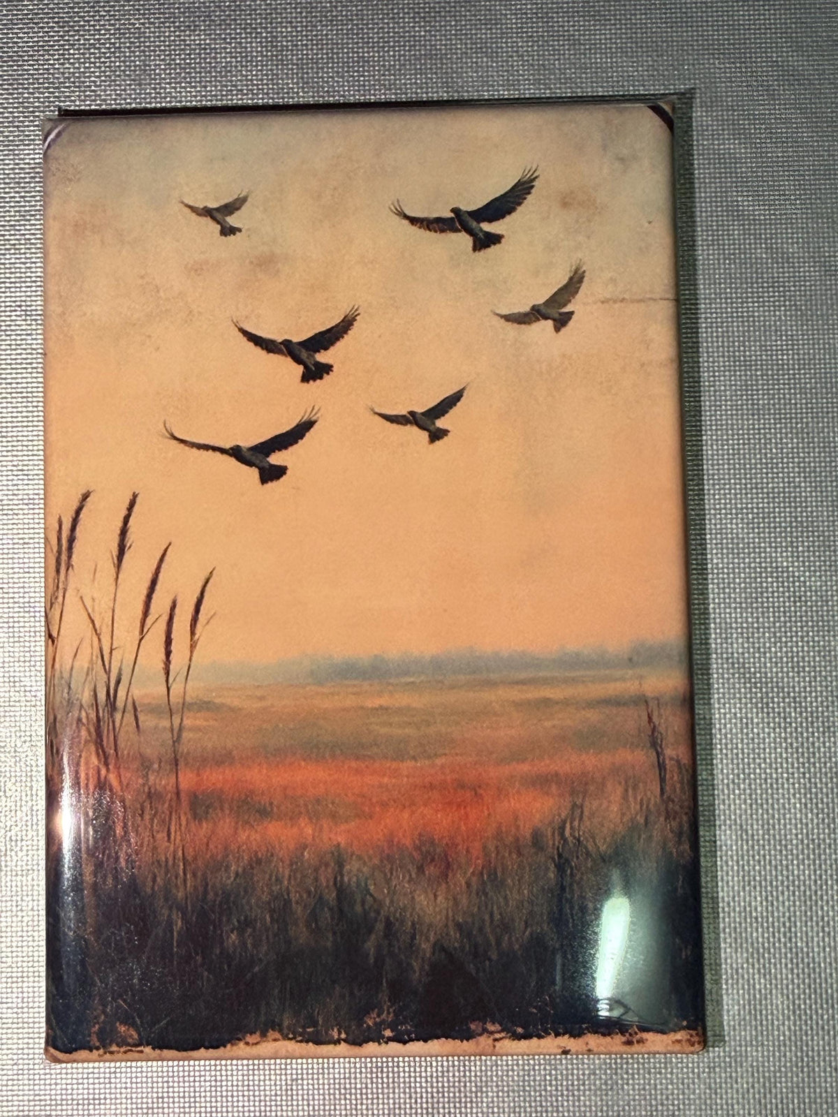 Naturalist, birding, bird watcher magnets sold individually or purchase them all