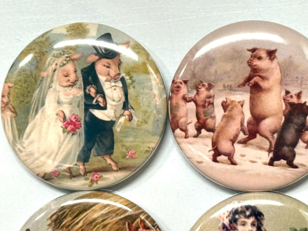 6 Pig Buttons: Vintage Style Pinbacks, Magnets, Keychains