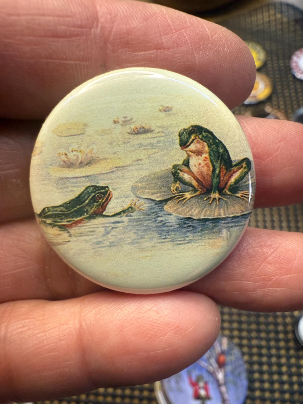 Vintage Frog Magnet Set: Reptile Toad Picture Buttons