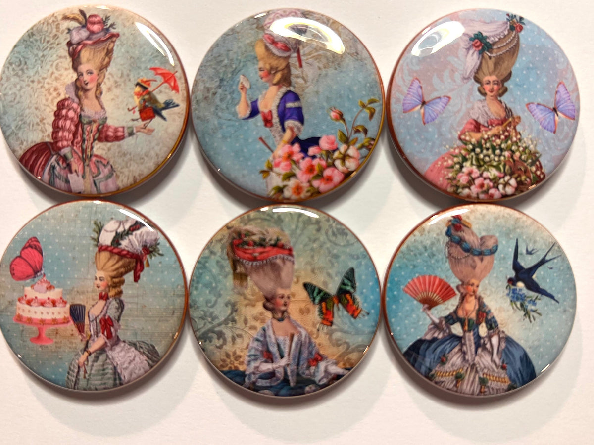 6 Marie Antoinette Shabby Chic Fridge Magnets.  Choose your size/style.