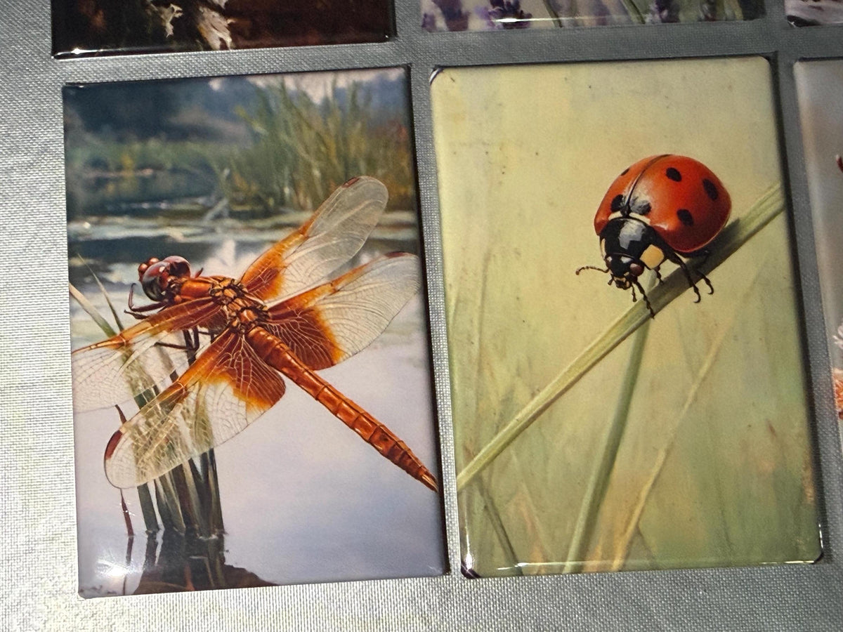 Naturalist, bug, insect, nature lover magnets sold individually or purchase them all