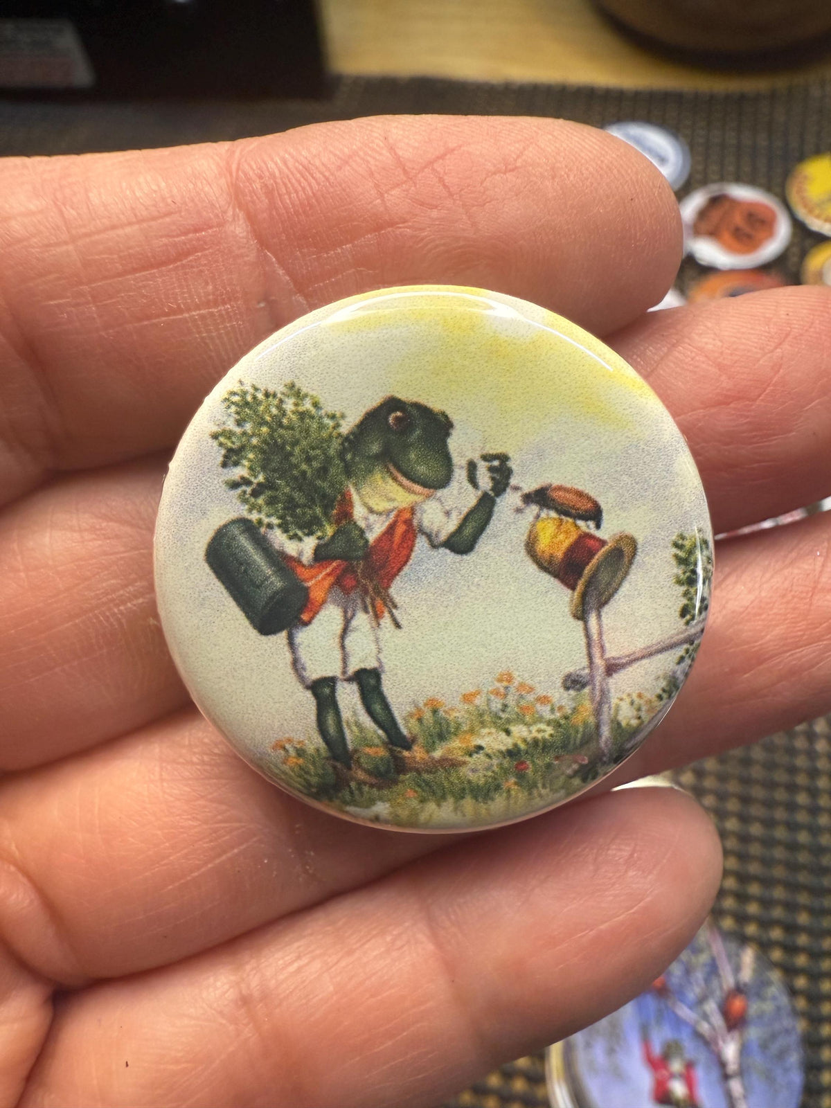 Vintage Frog Magnet Set: Reptile Toad Picture Buttons