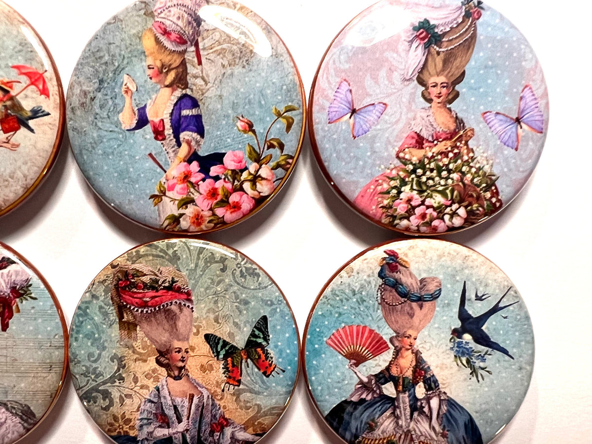 6 Marie Antoinette Shabby Chic Fridge Magnets.  Choose your size/style.