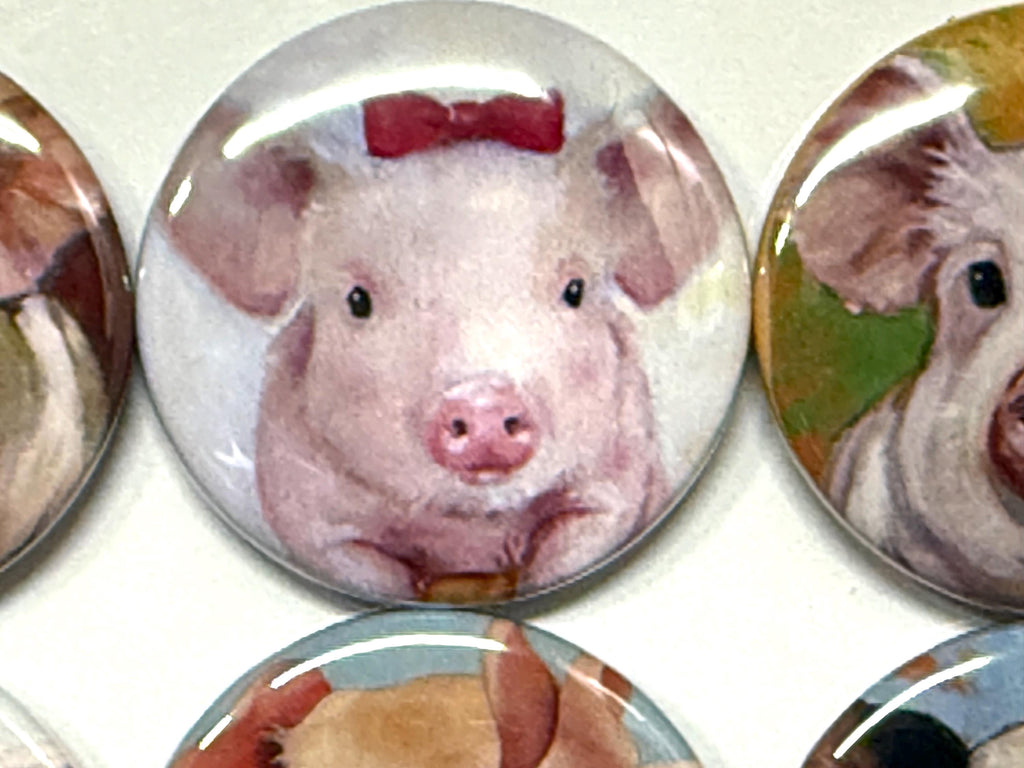 Pig Buttons: Farm Animal Pinbacks, Magnets, Keychains