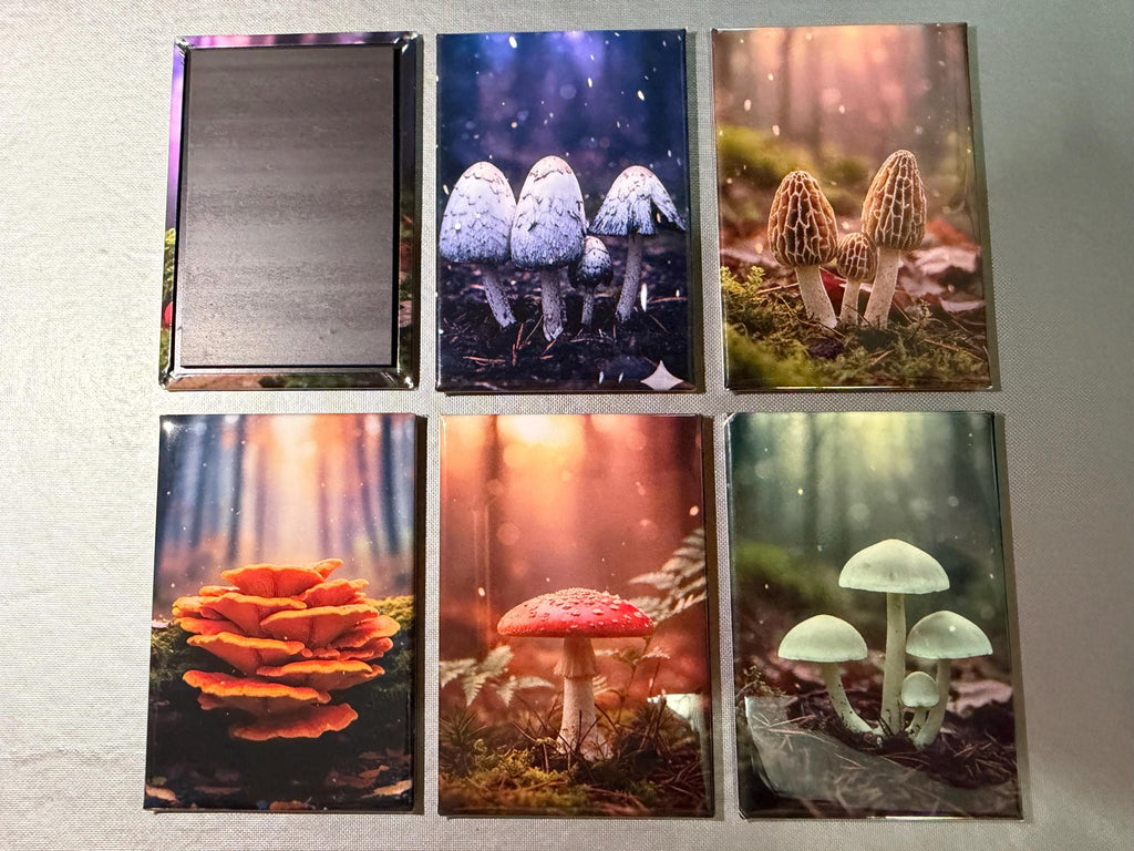 Trippy Mushroom magnets sold individually or purchase them all