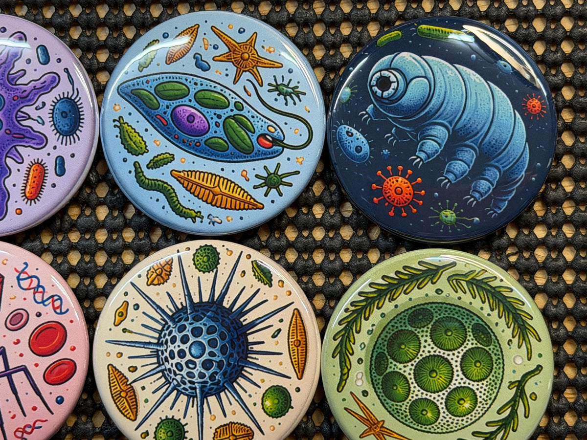 Micro Wonders: Colorful Microorganism Button or Magnet Set (Set of 8)