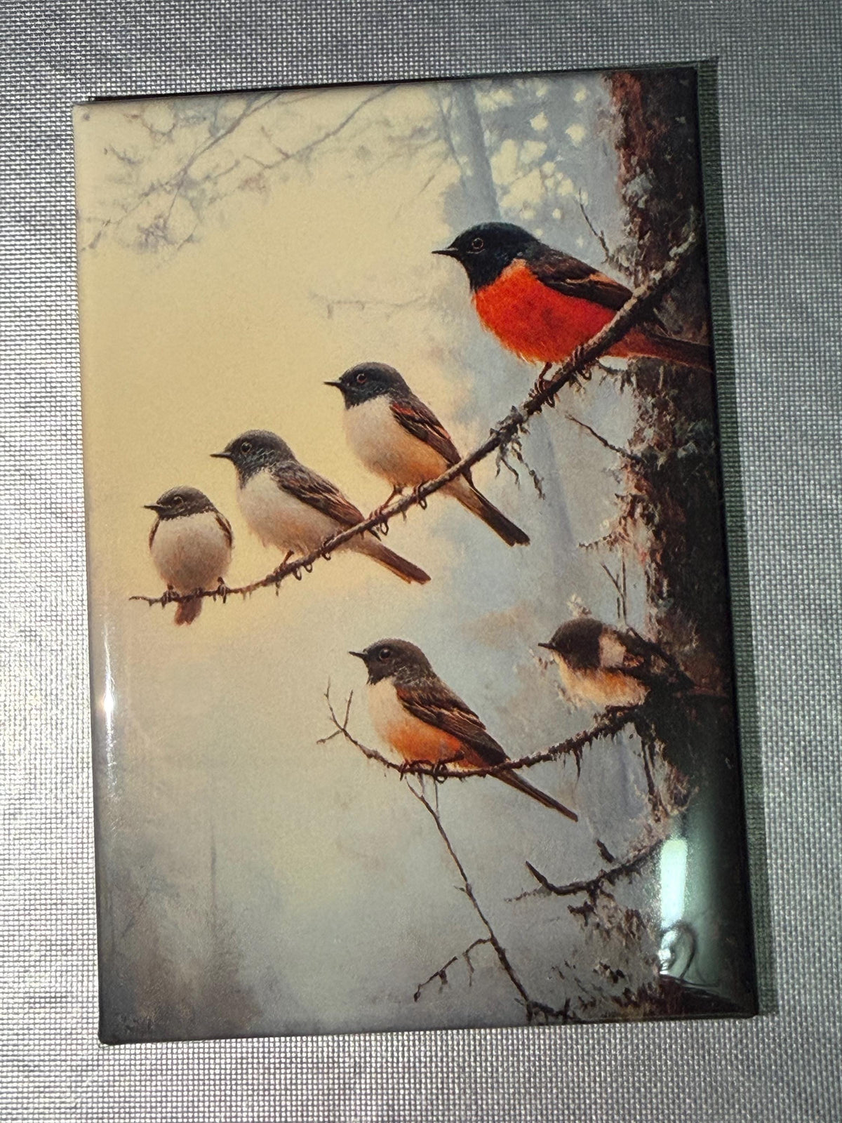Naturalist, birding, bird watcher magnets sold individually or purchase them all