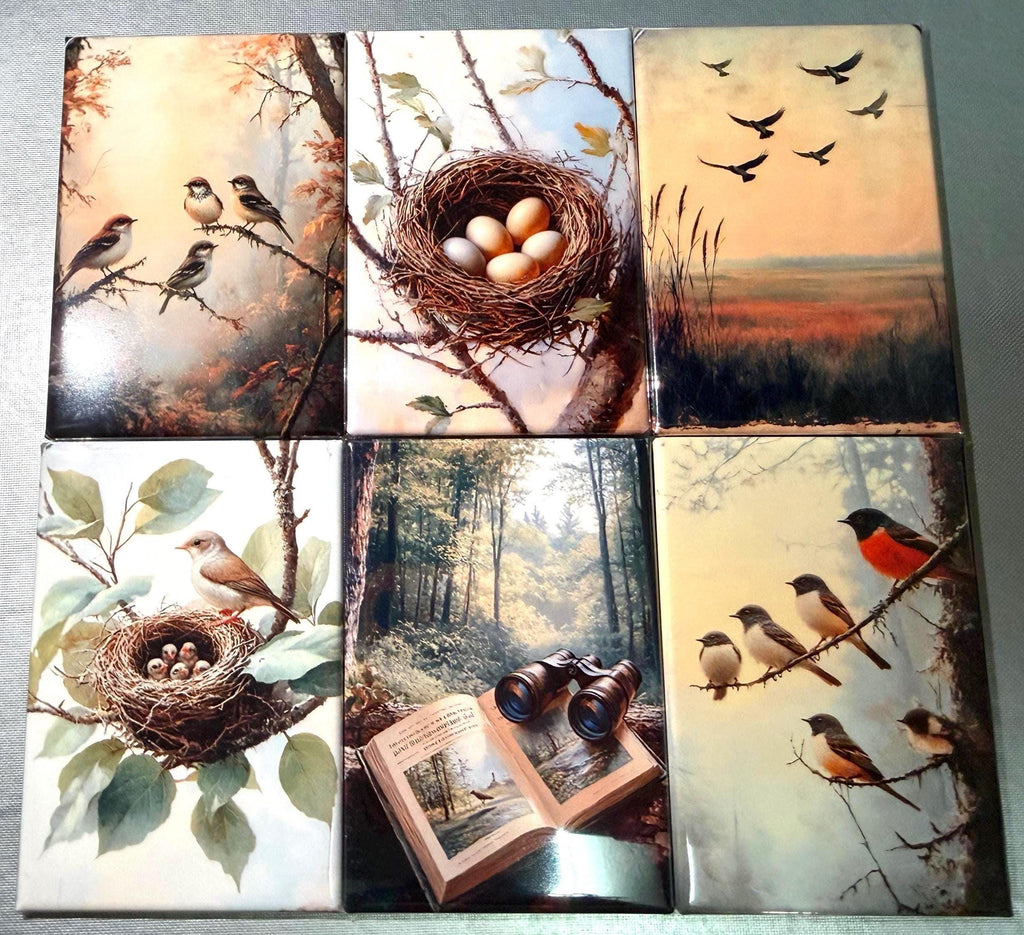 Naturalist, birding, bird watcher magnets sold individually or purchase them all