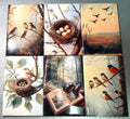 Naturalist, birding, bird watcher magnets sold individually or purchase them all