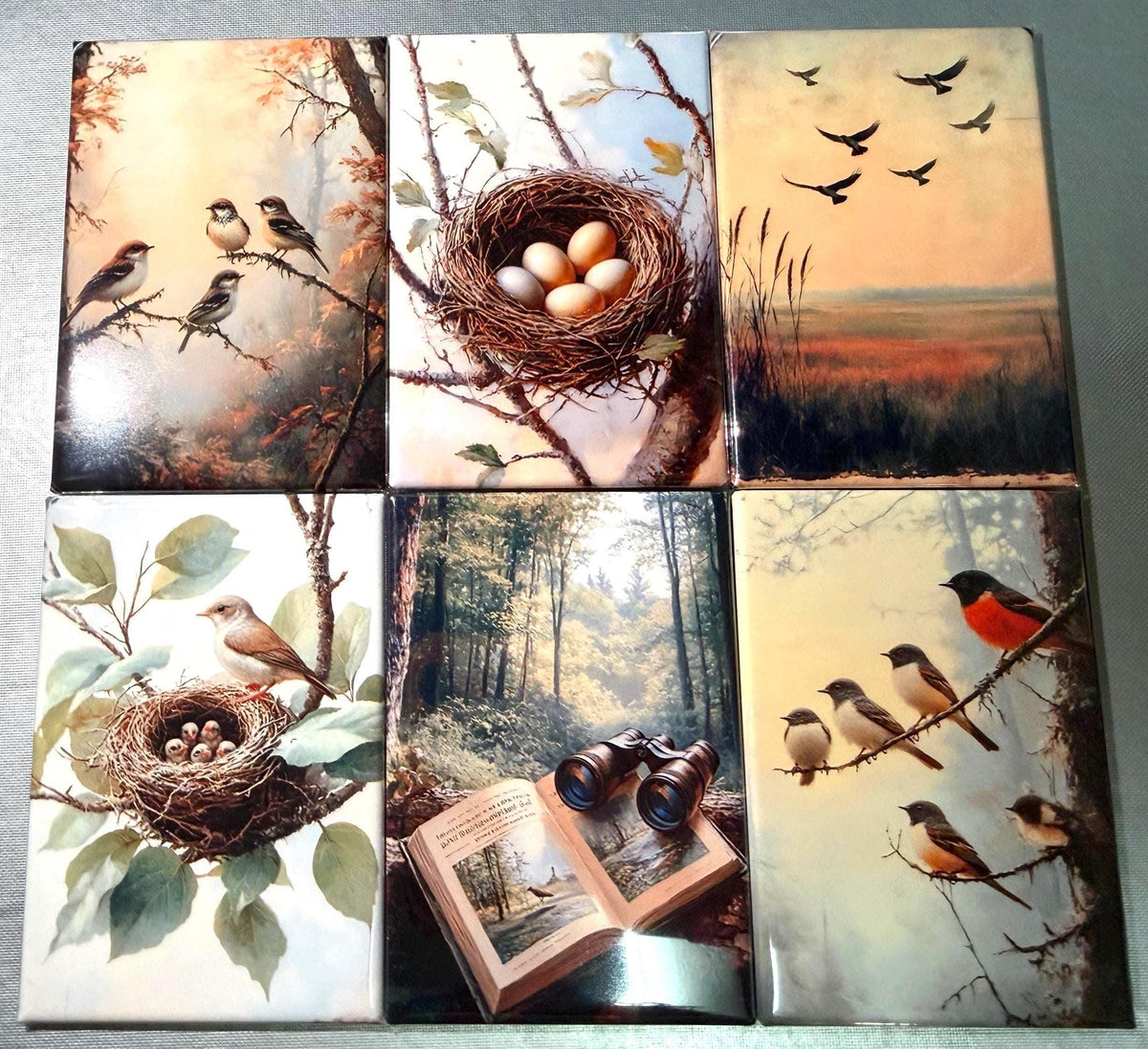 Naturalist, birding, bird watcher magnets sold individually or purchase them all
