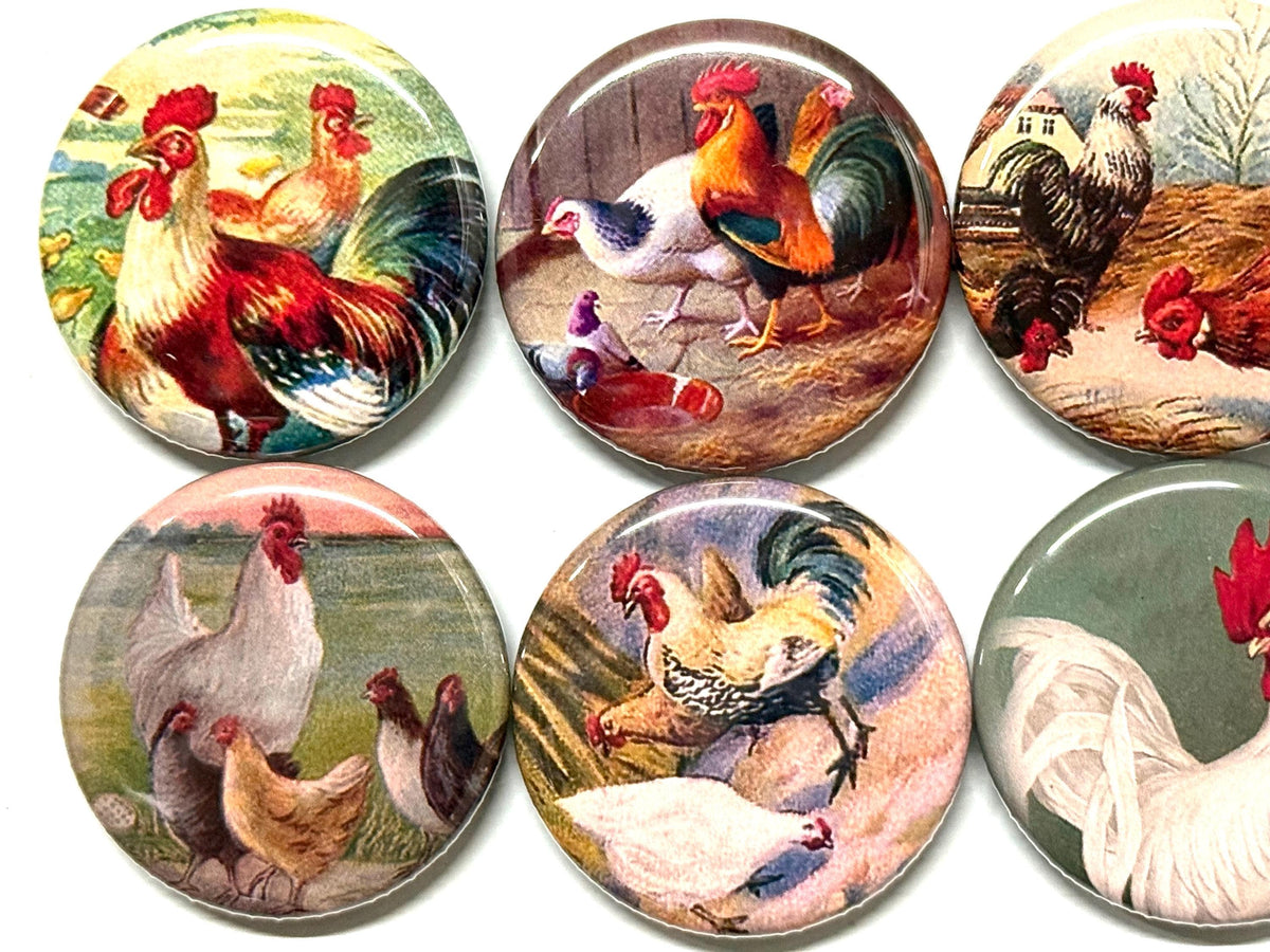 Vintage Rooster & Chickens Magnets or Pinbacks - Set of 8